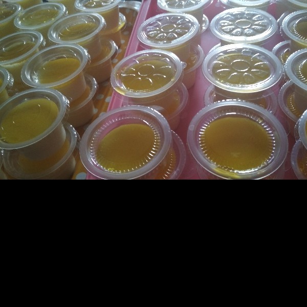 Puding silky