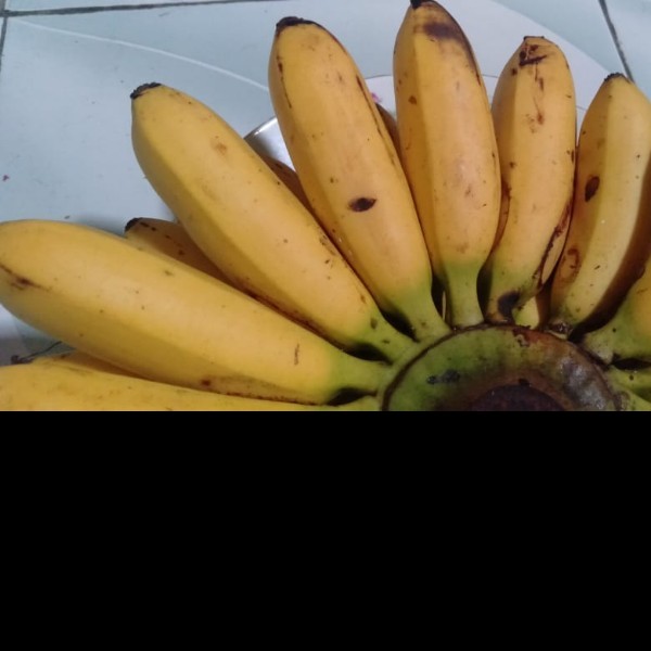 Pisan mas