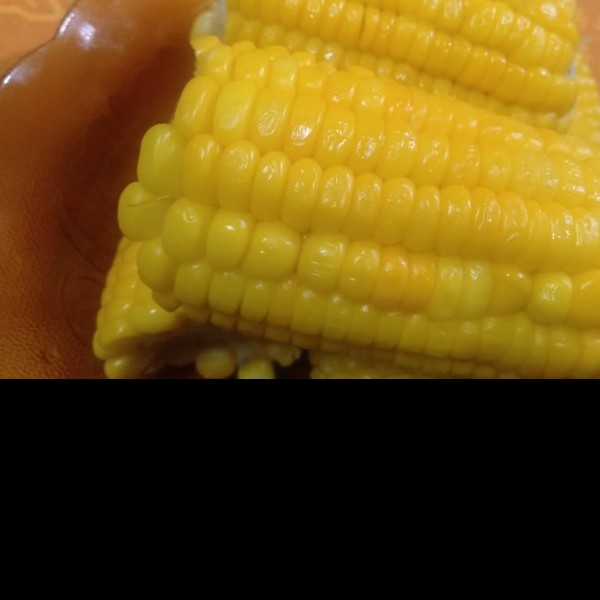 Jagung manis