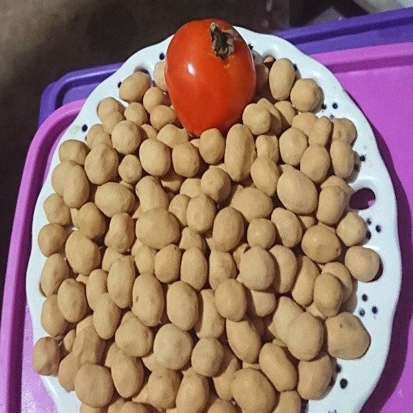 Kacang