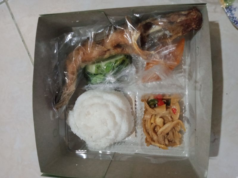 Nasi lele
