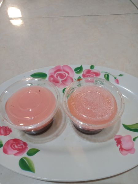 Pudding warna