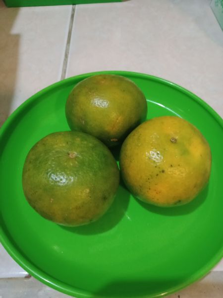 Jeruk buah/mani