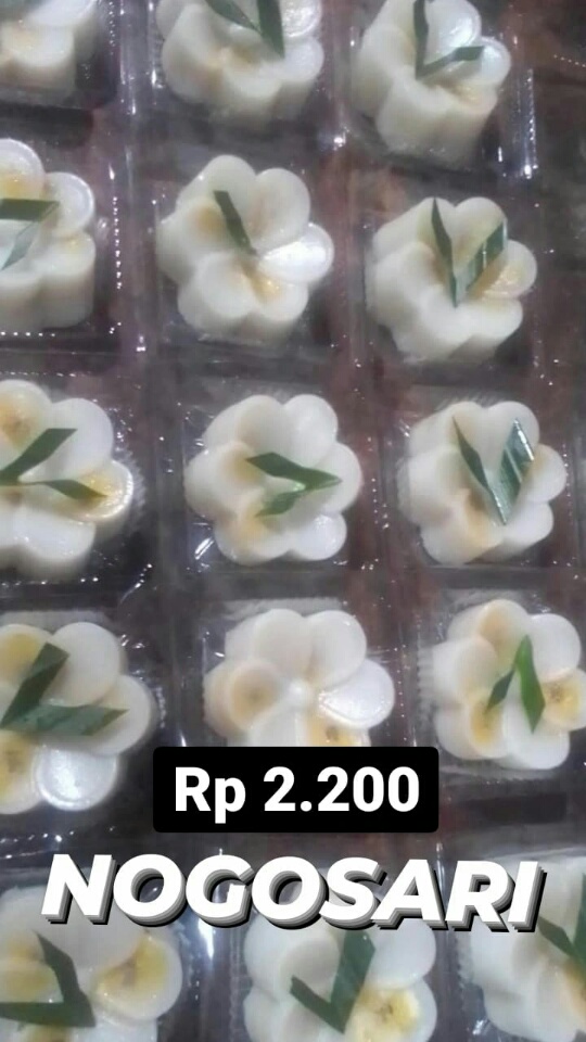 Nogo sari