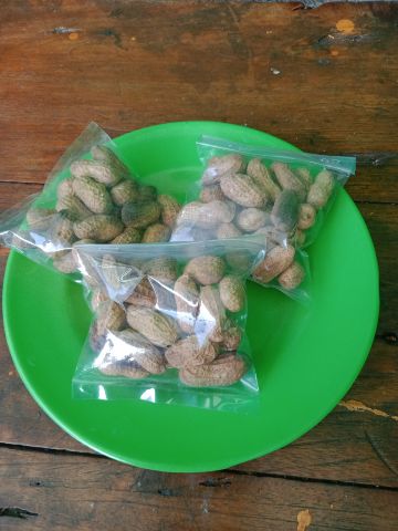 Kacang kulit