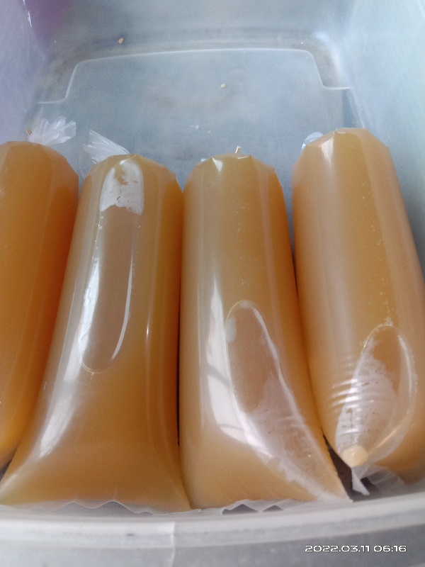 Sari kacang hij