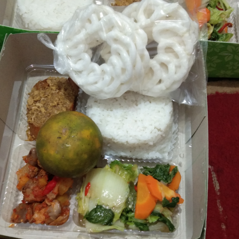 Nasi galantin 