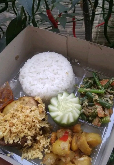 Nasi urap ayam
