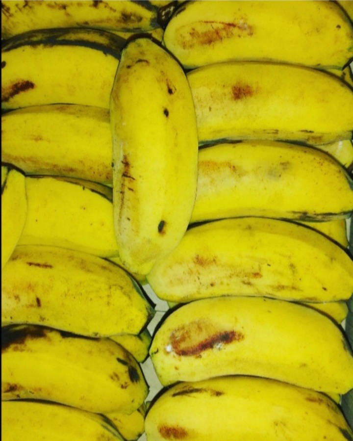 Buah pusang