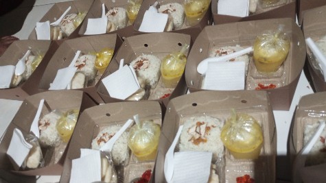 Nasi Opor