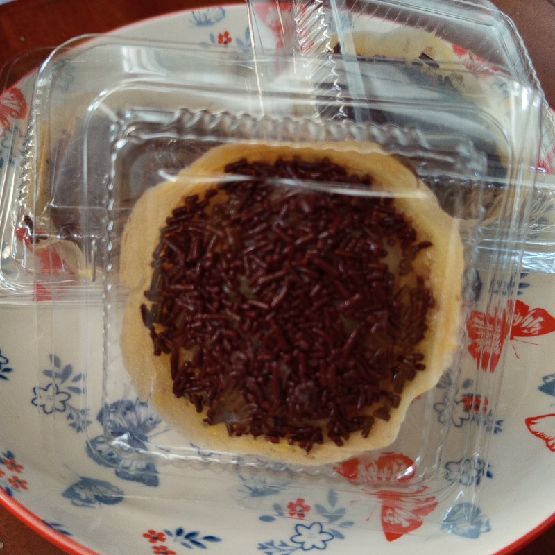 Martabak mini