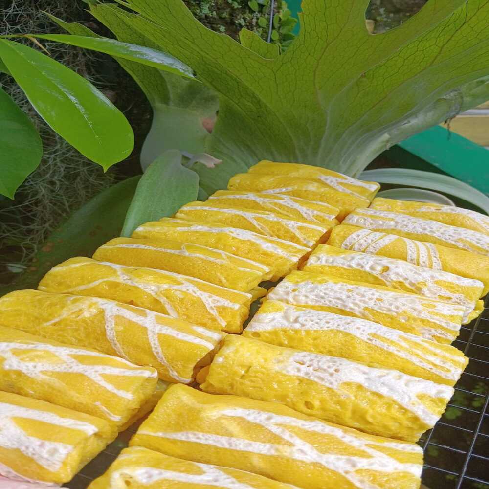 Jackfruit Dalun