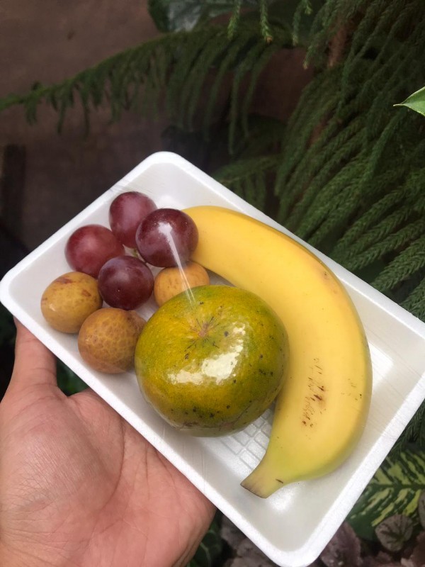 Snack Fruit Platter