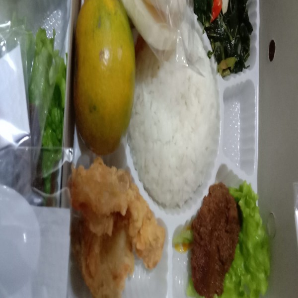 Nasi Box
