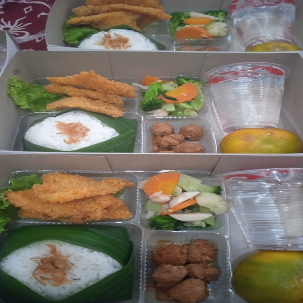 Nasi Katsu